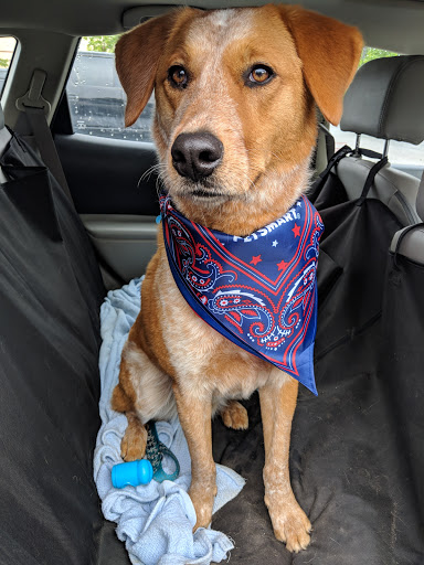 Pet Supply Store «PetSmart», reviews and photos, 299 Loudon Rd, Concord, NH 03301, USA