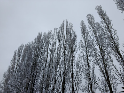 Community Center «Ravenna Eckstein Community Center», reviews and photos, 6535 Ravenna Ave NE, Seattle, WA 98115, USA