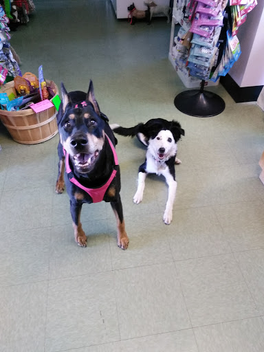 Pet Groomer «Happy Tails Pet Center», reviews and photos, 4370 SE King Rd Ste 260, Milwaukie, OR 97222, USA