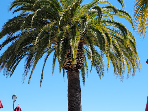 New American Restaurant «Napa General Store», reviews and photos, 540 Main St, Napa, CA 94559, USA