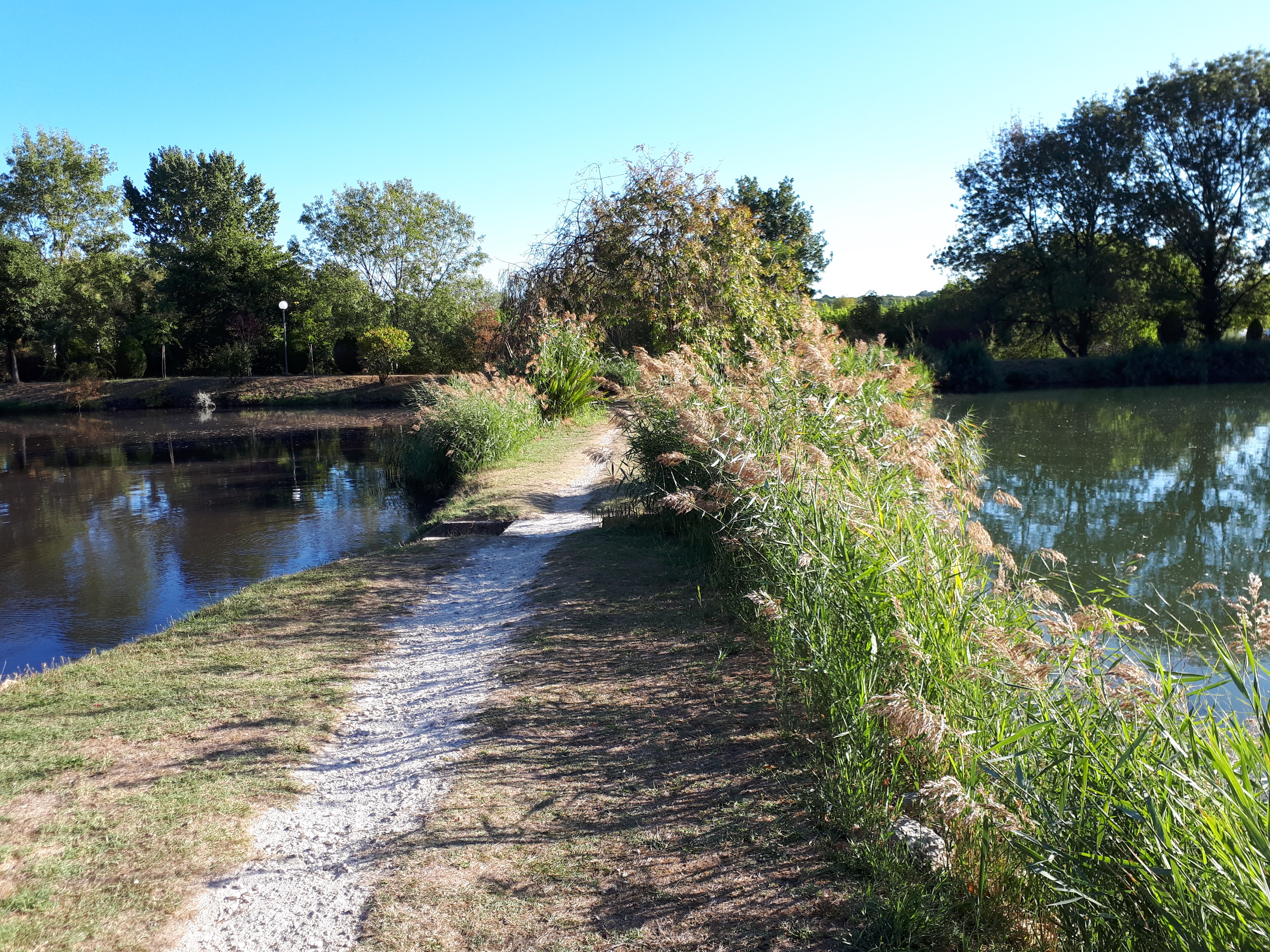 Photo n° 6 de l'avis de francoise.a fait le 24/09/2022 à 17:48