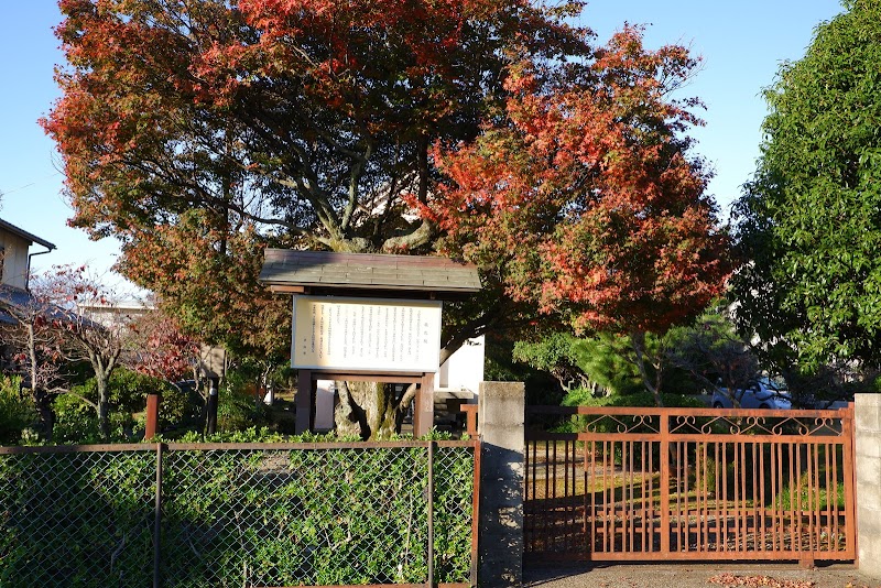 能化院