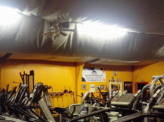 Stevie B's Gym