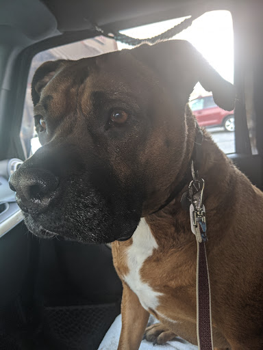 Pet Supply Store «Pet Supplies Plus», reviews and photos, 10 Glenridge Rd #3, Glenville, NY 12302, USA