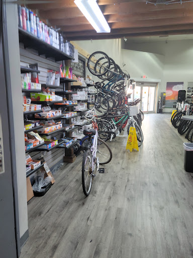 Bicycle Store «UBC - University Bicycle Center», reviews and photos, 1220 E Fletcher Ave, Tampa, FL 33612, USA