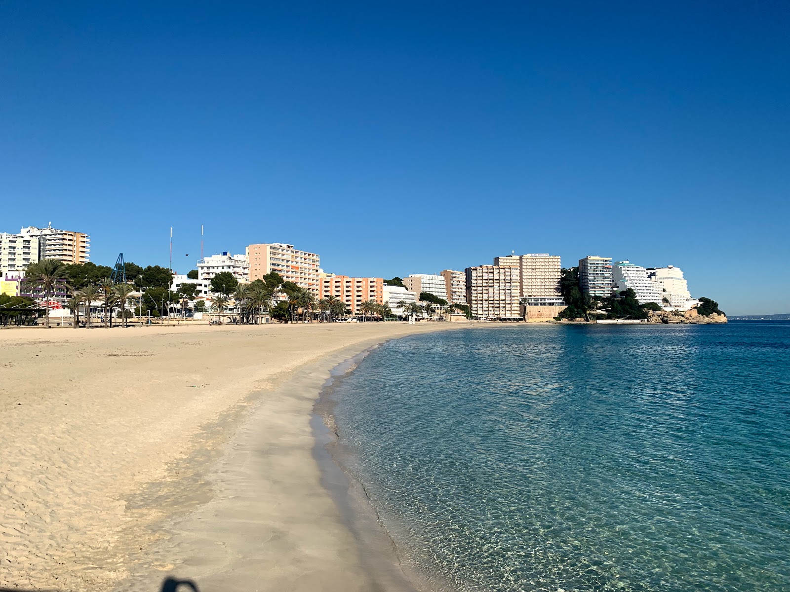 Foto av Magaluf Stranden bekvämlighetsområde