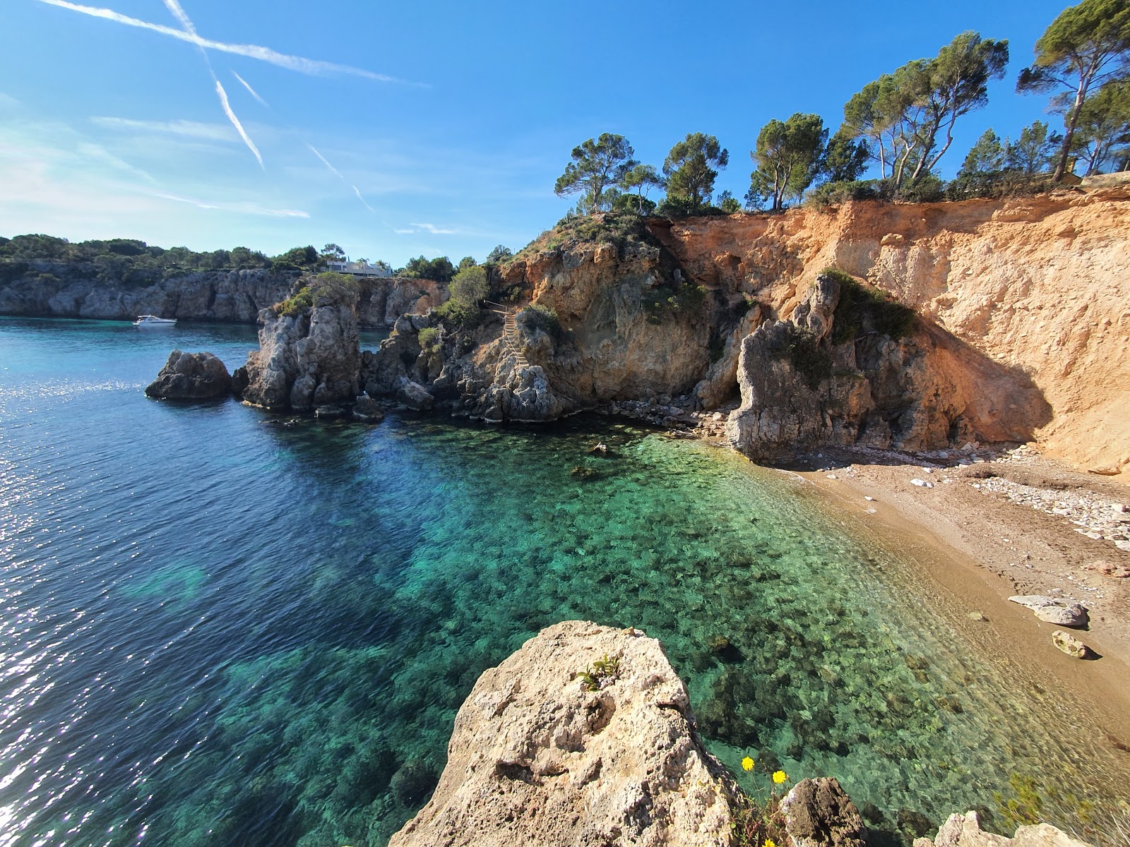 Valokuva Platja Cap des Gegantista. pinnalla sininen puhdas vesi:n kanssa