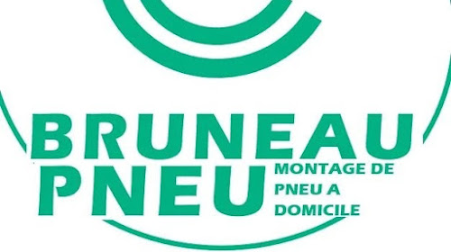 Bruneau Pneu ( Spécialiste du pneumatique à domicile ) à Chouzé-sur-Loire