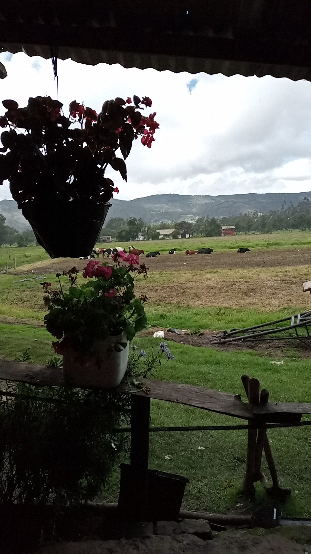 Hacienda Santa Teresa