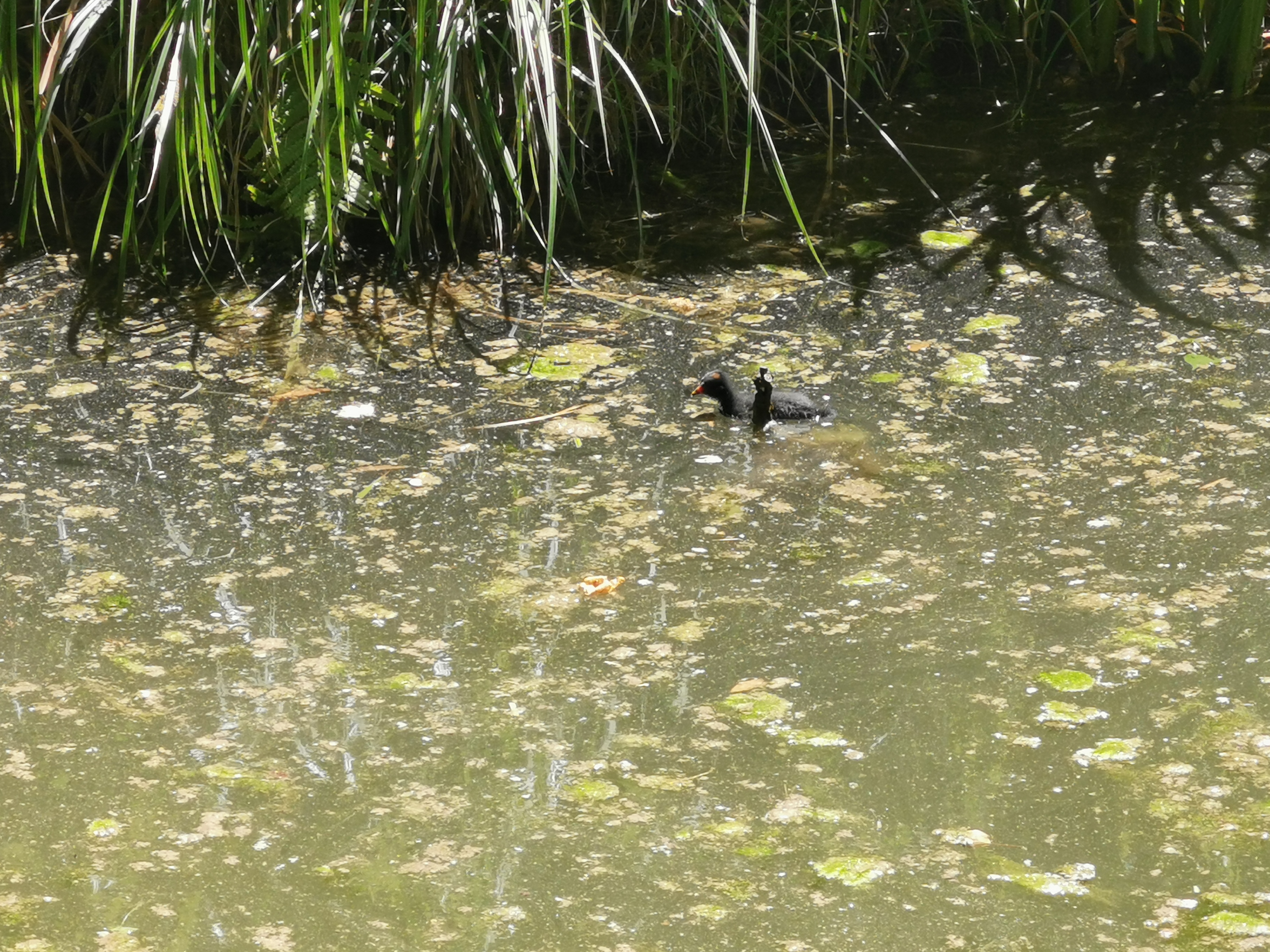 Photo n° 24 de l'avis de Lee.a fait le 18/06/2023 à 16:21
