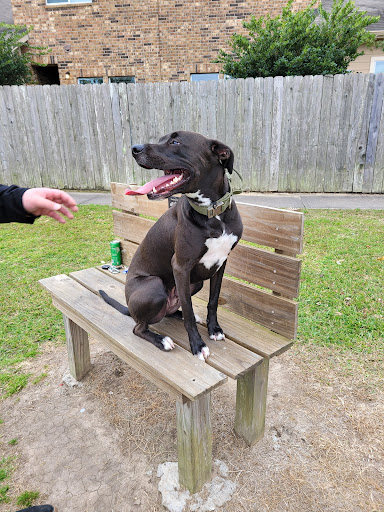 Pet Supply Store «PetSmart», reviews and photos, 5722 Fairmont Pkwy, Pasadena, TX 77505, USA