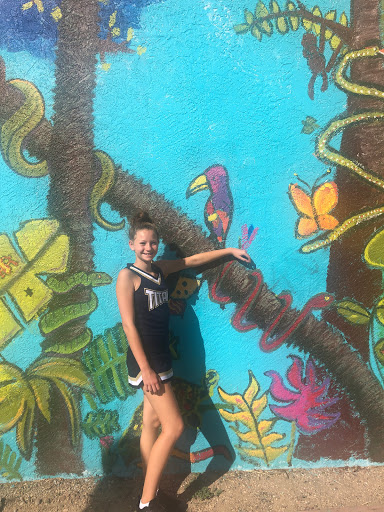 Pet Groomer «Animal Kingdom Grooming», reviews and photos, 339 S Santa Fe Ave, Pueblo, CO 81003, USA