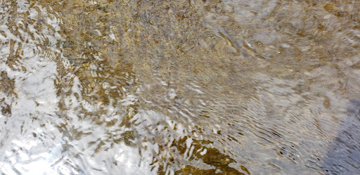 National Park «Home of Franklin D. Roosevelt National Historic Site», reviews and photos