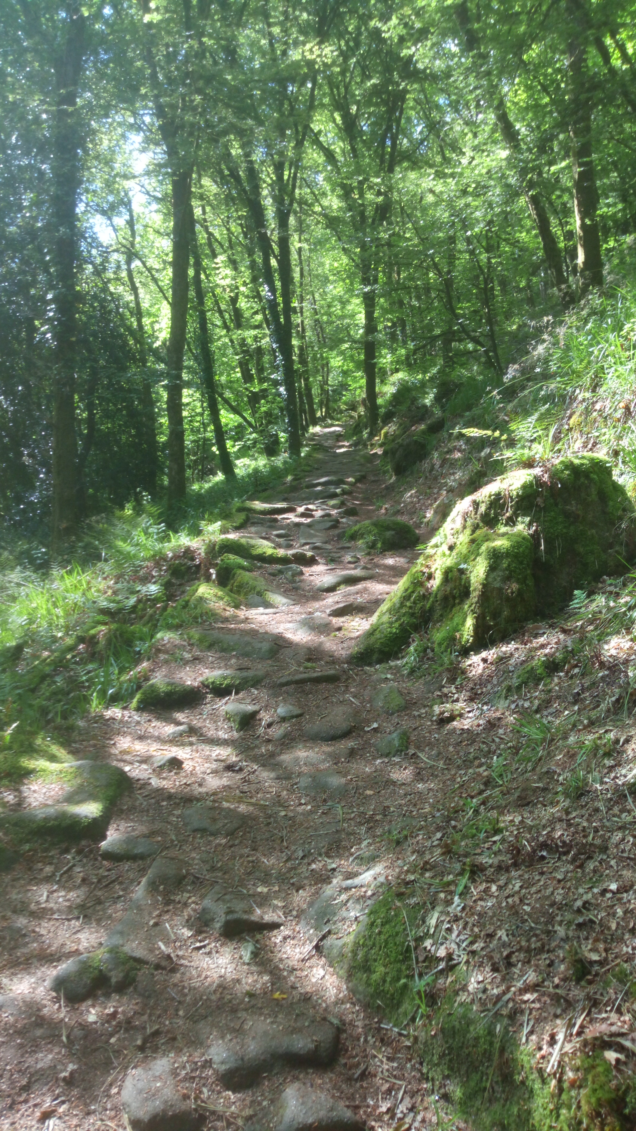 Photo n° 3 de l'avis de Pat.o fait le 01/06/2019 à 07:38