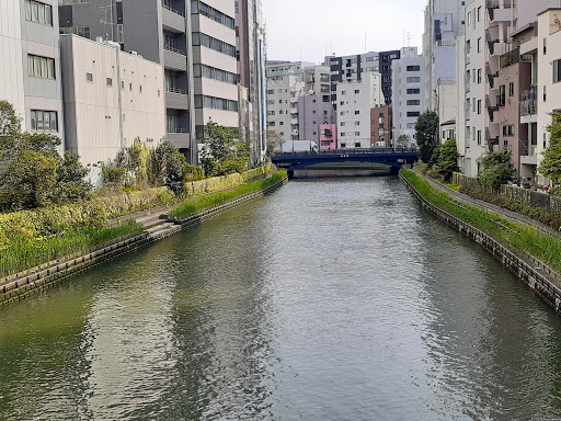 Kamejima River