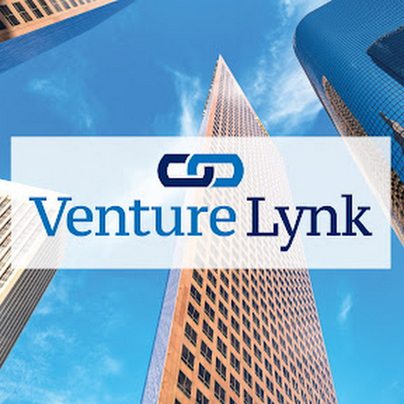 Venture Lynk Capital and Advisory, Inc.