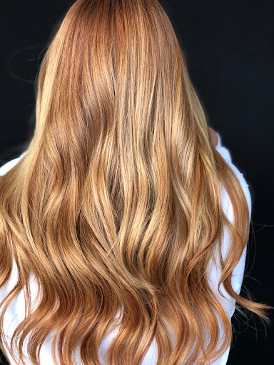 Hair Salon «Got Hair? Color Salon», reviews and photos, 9957 Interstate 10 Frontage Rd, San Antonio, TX 78230, USA