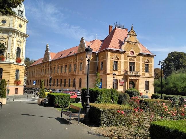 Liceul de Muzică Tudor Ciortea