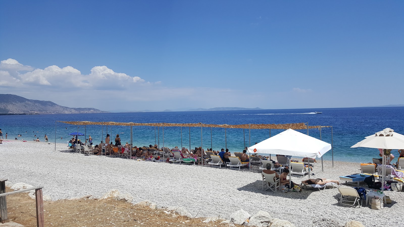 Foto de Pine trees beach com muito limpo nível de limpeza
