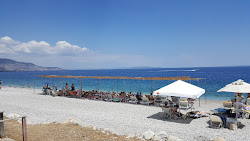 Photo de Pine trees beach avec un niveau de propreté de très propre
