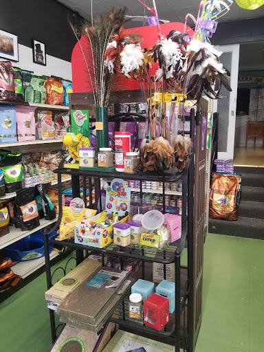 Pet Supply Store «Animal Krackers Inc», reviews and photos, 232 Main St, Gloucester, MA 01930, USA