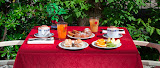 Petit déjeuner hôtels Hotel Esedra 48015 Milano Marittima (miniature)