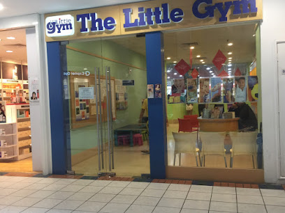 THE LITTLE GYM