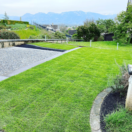 Rezensionen über Graf Tief- und Gartenbau GmbH in Altstätten - Bauunternehmen