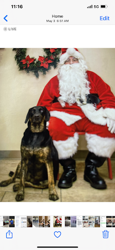 Auto Repair Shop «Ultimate Auto Service», reviews and photos, 2151 Niagara St, Buffalo, NY 14207, USA