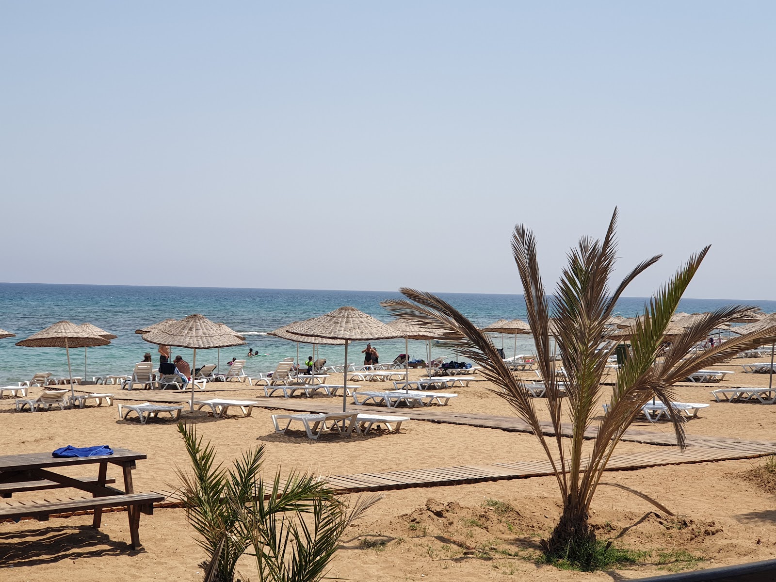 Foto di Spiaggia di Salamina e l'insediamento