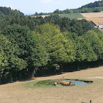 Photo n°4 de l'avis de Andr.a fait le 03/08/2018 à 18:40 sur le  Panorama-Hotel am See à Neunburg vorm Wald