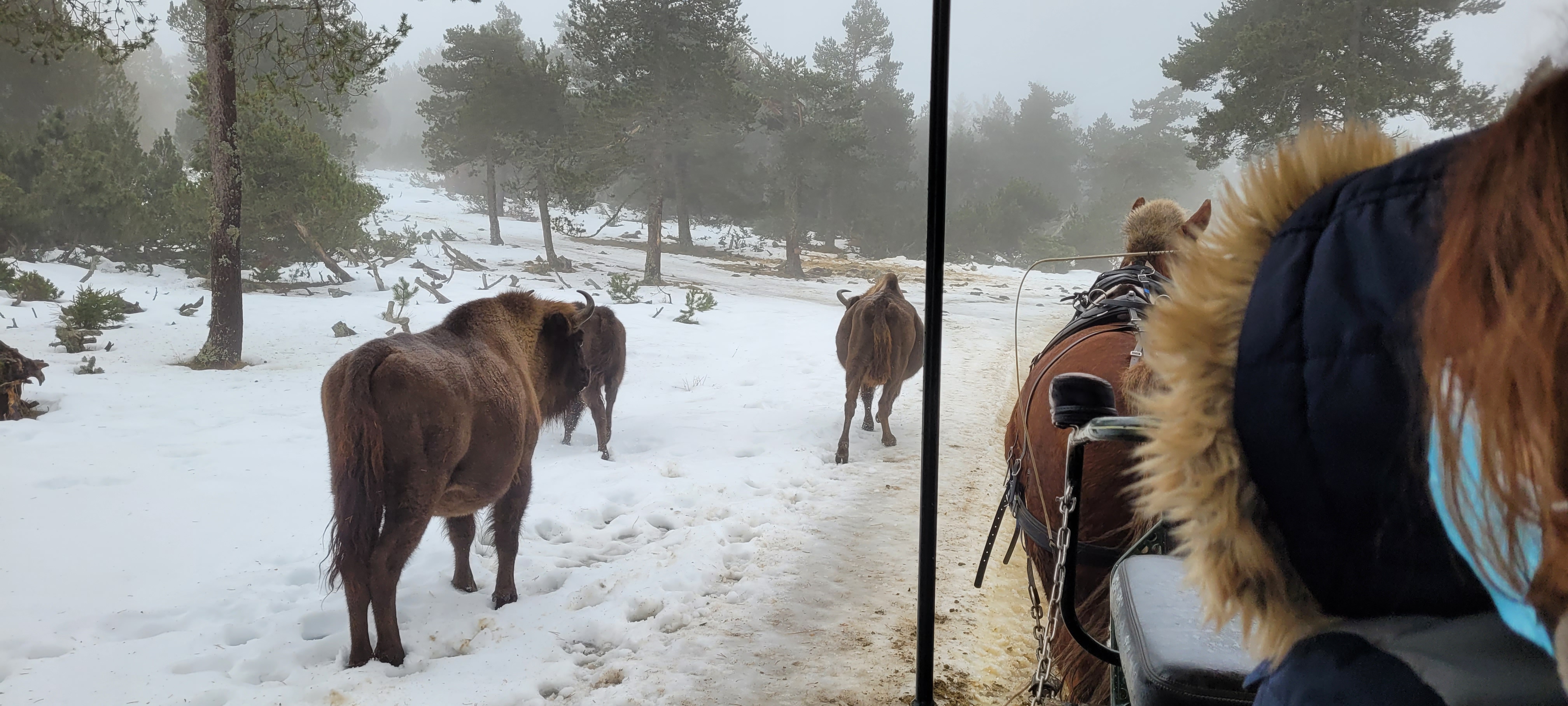 Photo n° 6 de l'avis de Jonny.u fait le 25/07/2022 à 14:40