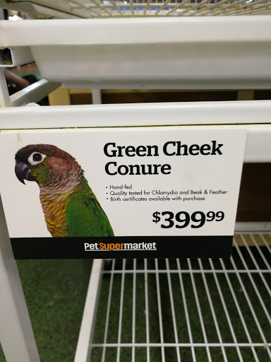 Pet Supply Store «Pet Supermarket», reviews and photos, 2585 N Atlantic Ave, Daytona Beach, FL 32118, USA