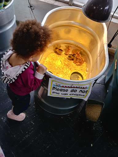 Animal Feed Store «Columbia Electric Feed & Seed», reviews and photos, 1421 Columbia Blvd, St Helens, OR 97051, USA