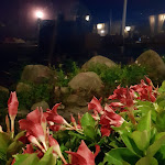 Photo n°1 de l'avis de Brygi. fait le 20/09/2018 à 15:12 sur le  Fischräucherei Kamminke à Kamminke