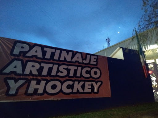 Patinaje artístico y hockey
