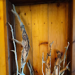 Photo n°4 de l'avis de Franceschini.i fait le 05/07/2023 à 09:48 sur le  Restaurant @ Vagneur à Saint-Nicolas