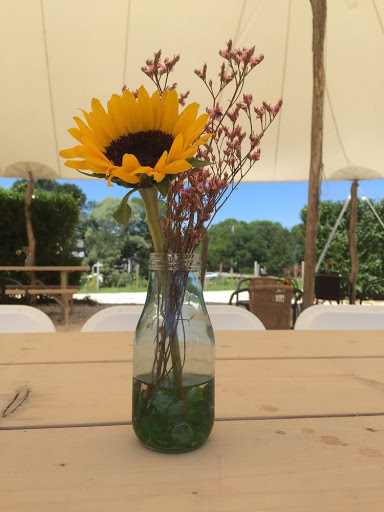 Winery «Cape Cod Winery», reviews and photos, 4 Oxbow Rd, East Falmouth, MA 02536, USA