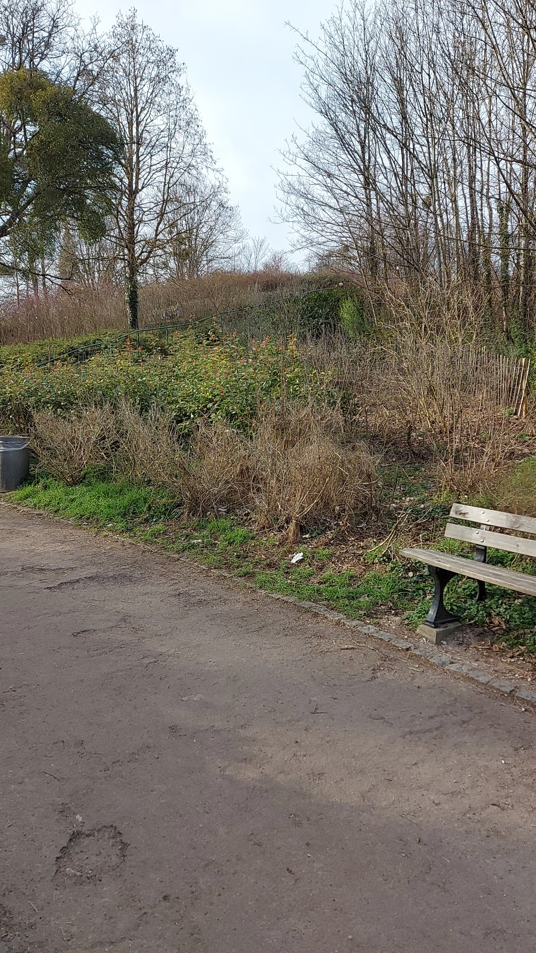 Photo n° 3 de l'avis de Sam.a fait le 14/02/2021 à 12:12