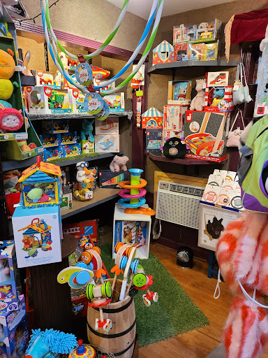 Toy Store «Why Not Toys», reviews and photos, 319 Gentry St, Spring, TX 77373, USA