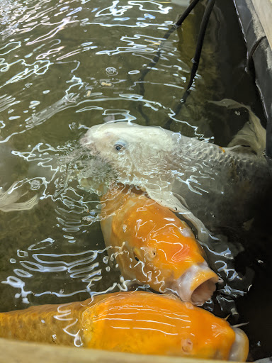 Pet Store «Pet World Warehouse Outlet», reviews and photos, 2148 W Beltline Hwy, Madison, WI 53713, USA