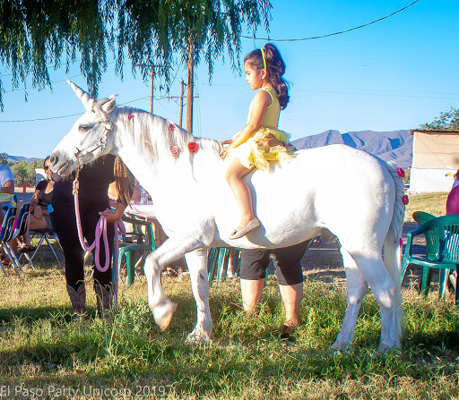 El Paso Party Unicorn and El Paso Party Ponies