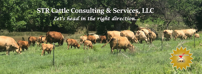 STR CATTLE CONSULTING & SERVICES