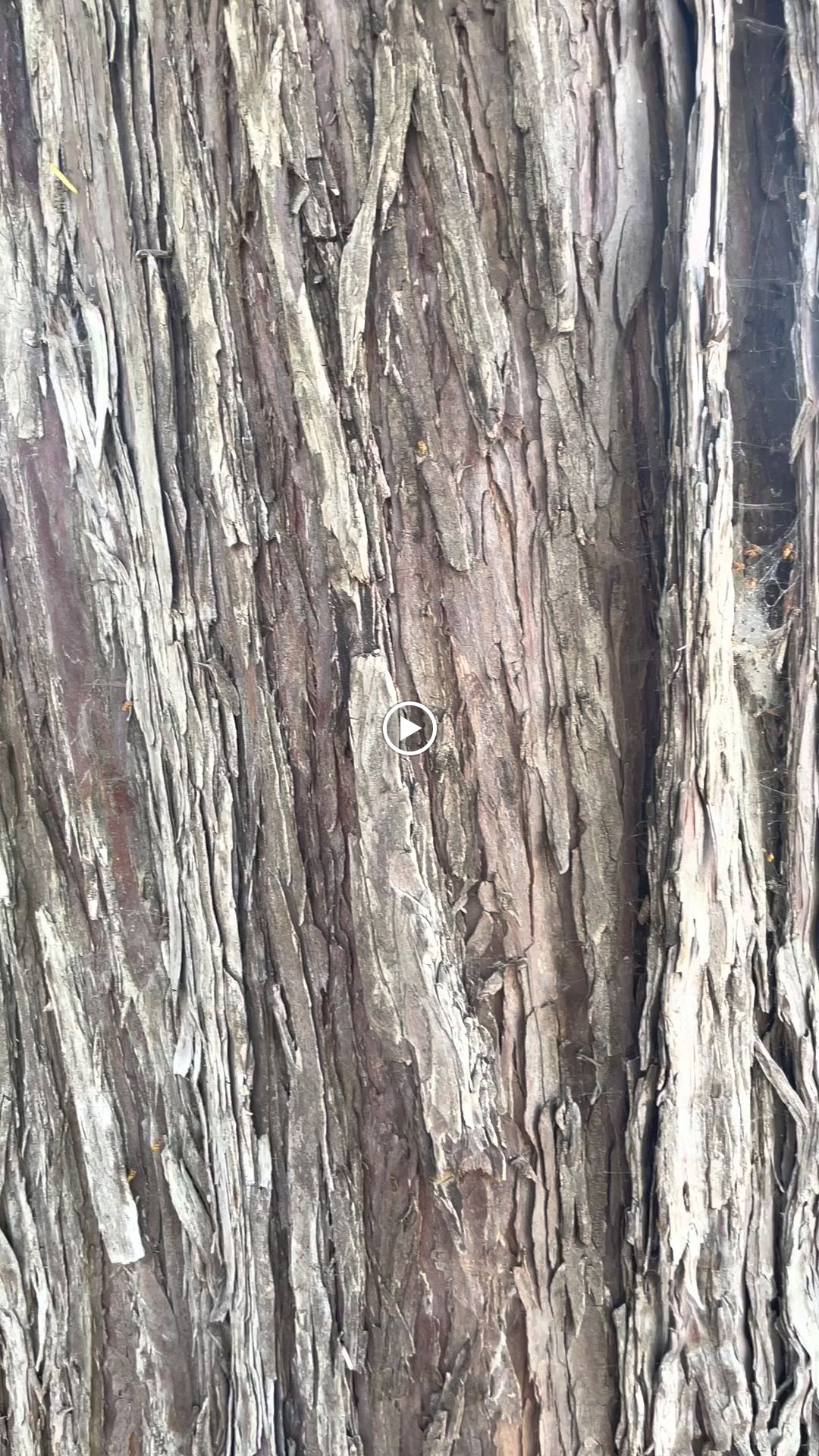 Photo n° 6 de l'avis de Elsa. fait le 02/06/2023 à 11:37