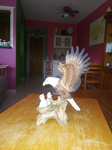 Thrift Store «Goodwill West Palm Beach/Gulfstream Super Store & Donation Center», reviews and photos