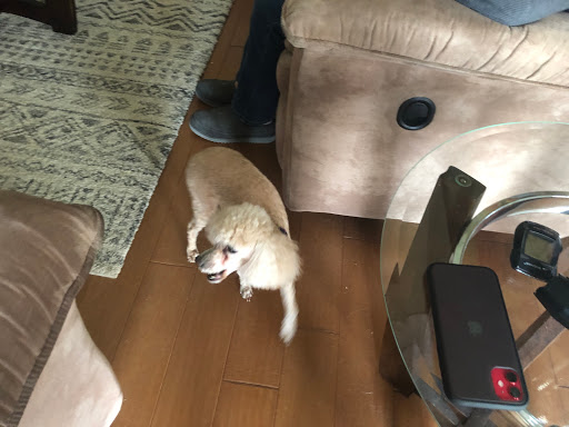 Pet Supply Store «EarthWise Pet Supply», reviews and photos, 4701 Bauer Farm Drive b, Lawrence, KS 66049, USA