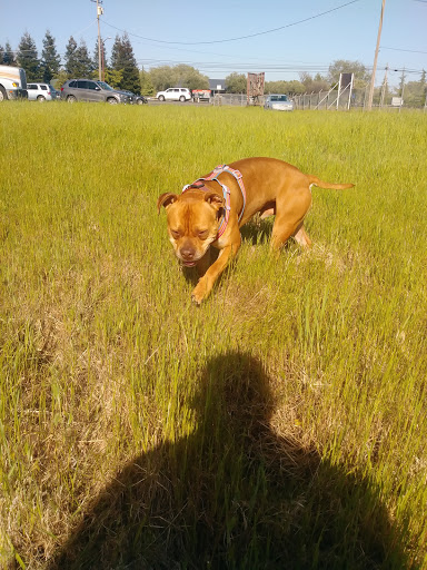 Produce Market «Fruit Basket 1», reviews and photos, 24101 Arnold Dr, Sonoma, CA 95476, USA