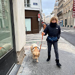 Photo n° 1 de l'avis de justine.a fait le 31/12/2023 à 14:51 pour VETINPARIS - URGENCES vétérinaires Paris 24/24 et 7/7 à Paris