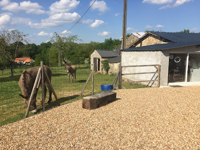 camping de la ferme aux ânesses à Bressuire