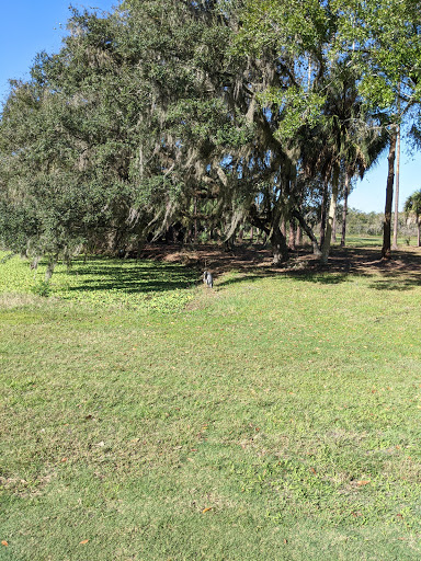 Golf Course «The Claw at USF», reviews and photos, 13801 N 46th St, Tampa, FL 33613, USA